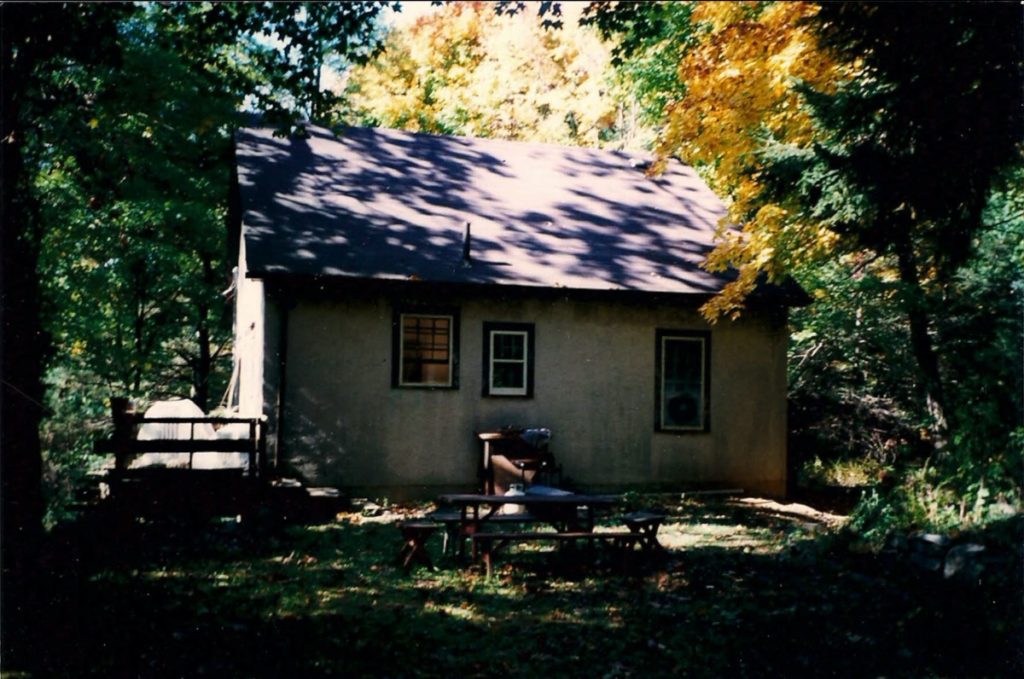 A photo of the cottage in the woods on a sunny day.