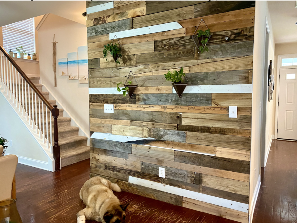 A reclaimed wood accent wall between the living room and front hall of a newly renovated house. The wood is all different colors, much of it weathered, and plants hang in geometric planters from the wall. A fluffy dog is lying on the floor in front of the wall.