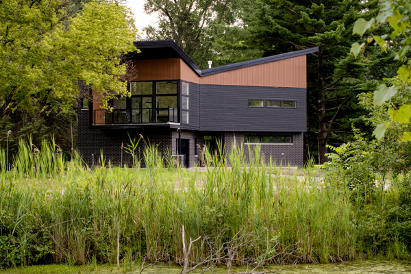 An angular, modern, abstract-looking brown-and-black house in the woods. In the foreground, plants grow out of a pond.