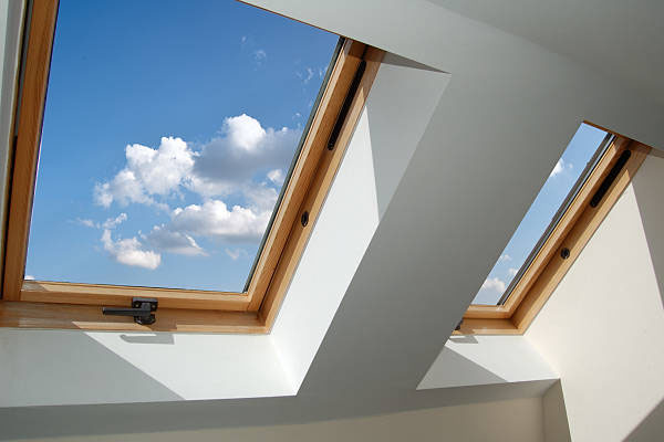 THRHM 82 Laureyn Furtney | Skylight