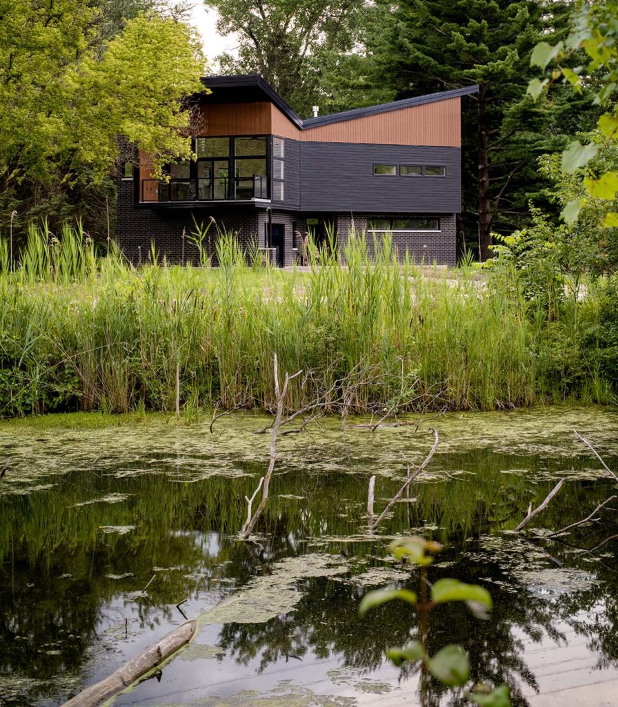 An angular, modern, abstract-looking brown-and-black house in the woods. In the foreground, plants grow out of a pond.