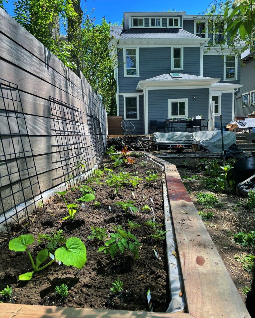 The back yard has been planted with a garden in a new bed. The siding and trim are freshly painted gray and white, and there is now an outdoor dining set on the patio.